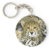 Cheetah Cub 2 Key Chain