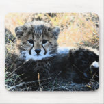 Cheetah cub mouse pad