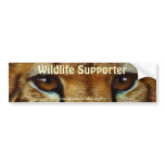 CHEETAH EYES Wildlife Supporter BUMPER STICKER