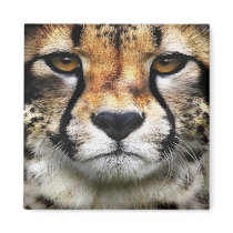 Cheetah Face Magnet