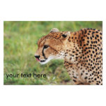 Cheetah Flyer