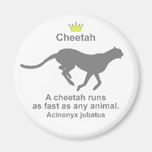 Cheetah g5 冷蔵庫用マグネット