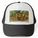 Cheetah hats