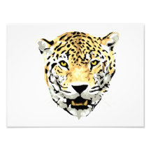 Cheetah Head Drawing Art Photo