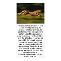 Cheetah Hunting His Prey