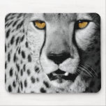 Cheetah in black and white mousepads