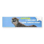 CHEETAH IN THE SKY bumper stickers