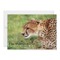Cheetah Invitation Card