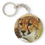 Cheetah keychains