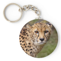 Cheetah Keyring Key Chain