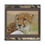 Cheetah Magnet