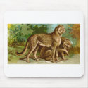 Cheetah mousepads