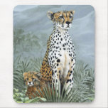Cheetah Mum