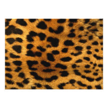 Cheetah Personalized Announcement