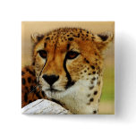 Cheetah Pins