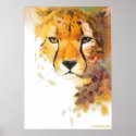 Cheetah! posters