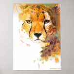 Cheetah! posters