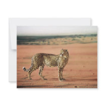 Cheetah Prints Invitations