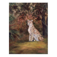 Cheetah Sitting Proud Postcard