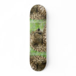 Cheetah Skateboard
