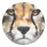 Cheetah stickers
