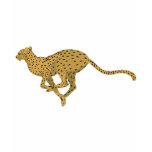 Cheetah! t-shirts