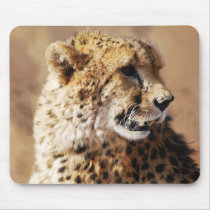Cheetahs beauty in Africa Mouse Pad
