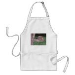 Cheetah's breath aprons