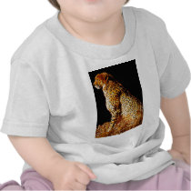Cheetahs stance