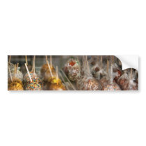 Chef - Caramel apples for sale