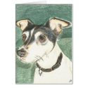 Chelsea fox terrier. cards