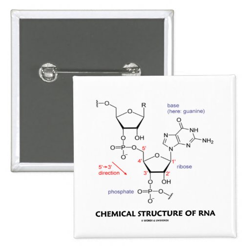 Chemical Structure Of RNA (Molecular Structure) Pinback Button