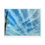 Chemtrail Grid In The Sky