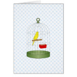 Chenna Canary cards