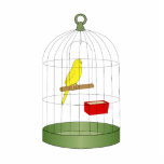 Chenna Canary photo sculptures