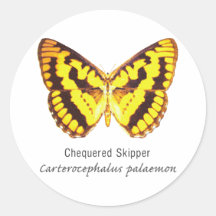 Chequered Skipper Butterfly with Name Round Stickers