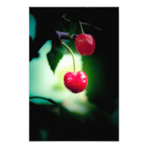 Cherries Photo Art
