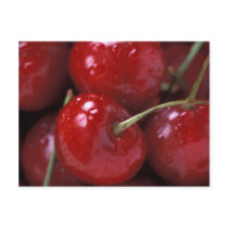 CHERRIES POST CARD