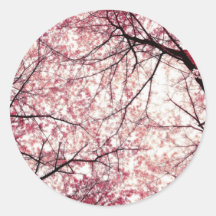 cherry blossom 2 sticker