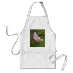 Cherry blossom and meaning aprons