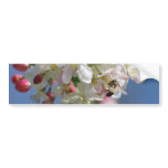 Cherry blossom and meaning bumper stickers