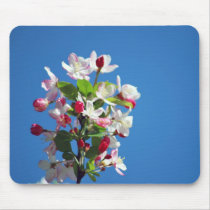 Cherry blossom and meaning mousemats