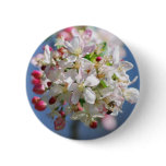 Cherry blossom and meaning pinback button