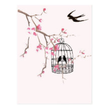 Cherry blossom and swallow post card