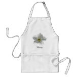 Cherry Blossom ~ apron