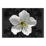Cherry blossom ~ ATC business cards