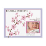 Cherry Blossom Baby Girl Birth Announcement: lilac postcards