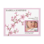 Cherry Blossom Baby Girl Birth Announcement: pink postcards