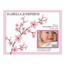 Cherry Blossom Baby Girl Birth Announcement: pink Postcard