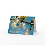 Cherry Blossom • Birthday Card